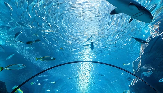 Applications d'&eacute;tanch&eacute;it&eacute; pour aquariums et grands aquariums