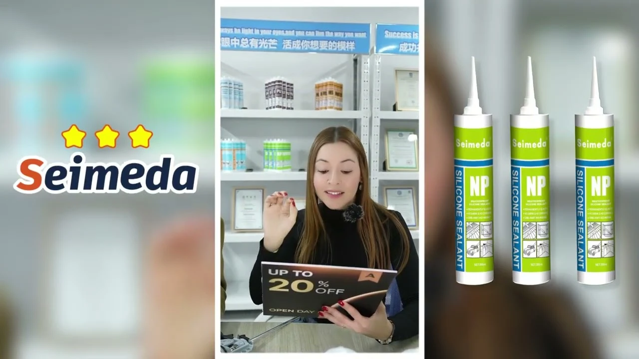 Pr&eacute;sentation du mastic NP